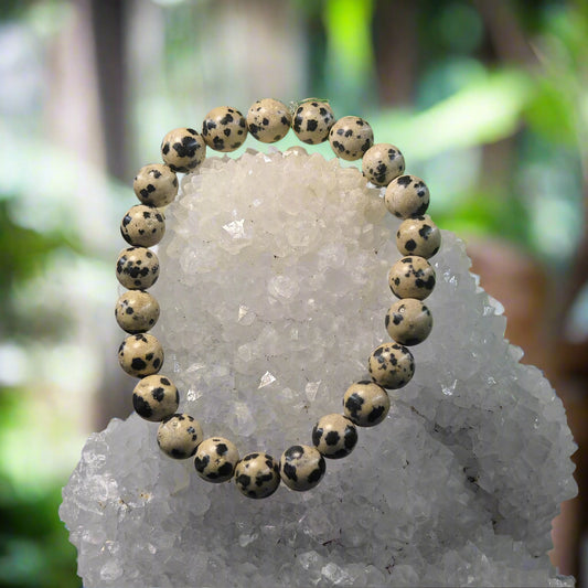 Energised Jasper Dalmatian Bracelet for Joy, Protection, Inner Child Healing and Emotional Balance
